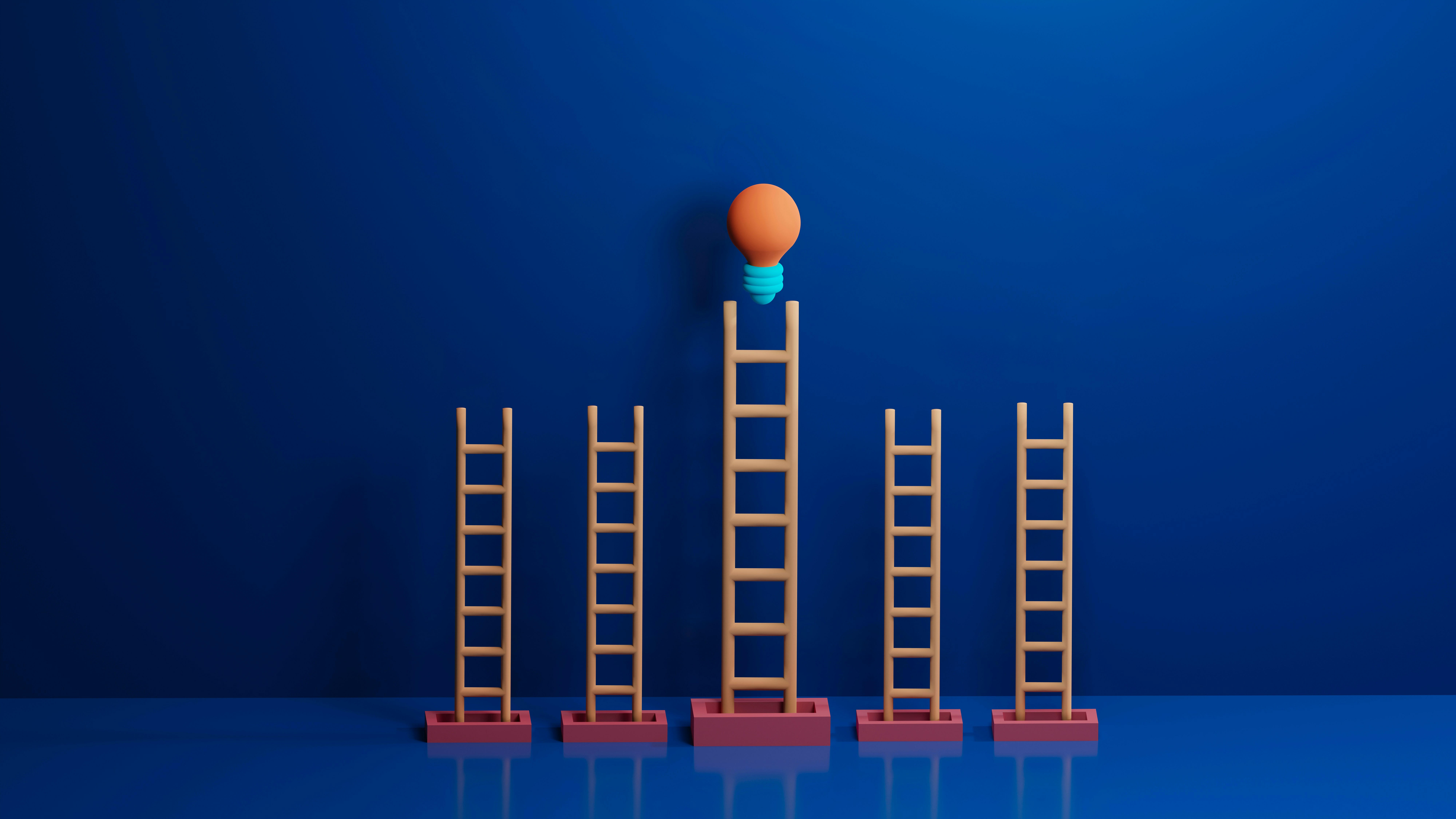 Training and Development Management | Building a Stronger and More Interactive Workforce